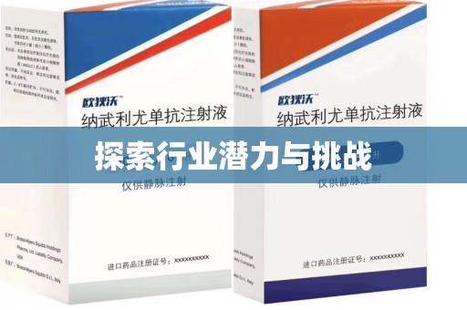 威海探索行业潜力与挑战
